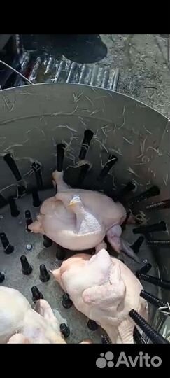 Перосъемная машина для уток гусей,бройлеров