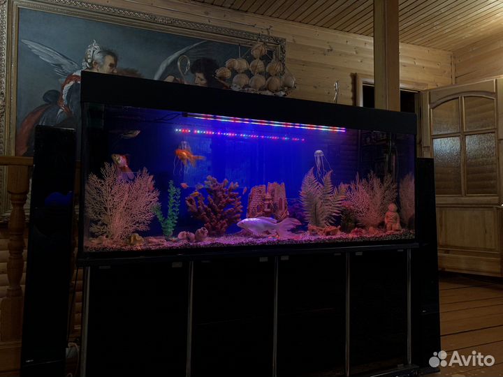 Аквариум с тумбой 400 литров в идеальном состоянии