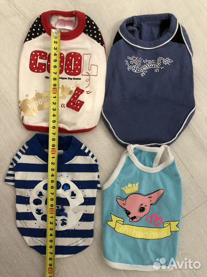 Одежда для собак