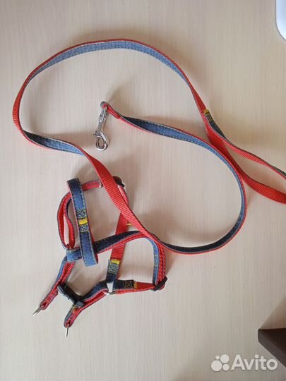 Поводок и шлейка
