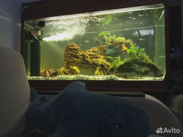 Аквариум Jebo R3100KG Style Aquarium
