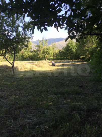 Участок 15 га (СНТ, ДНП)