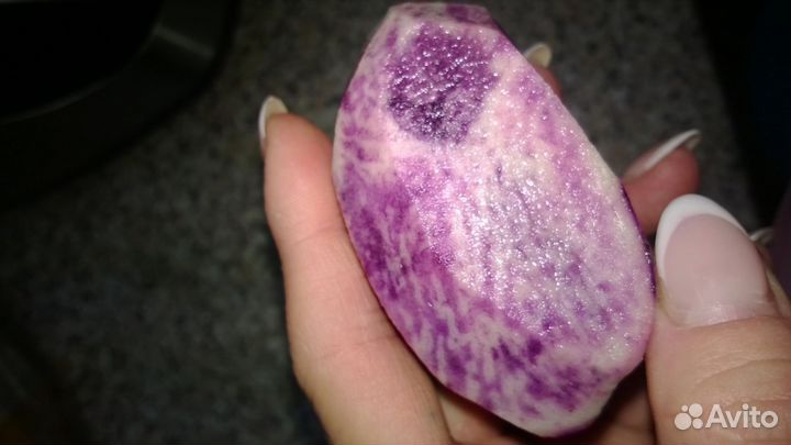 Картофель фиолетовый синий картошка на еду,посадку