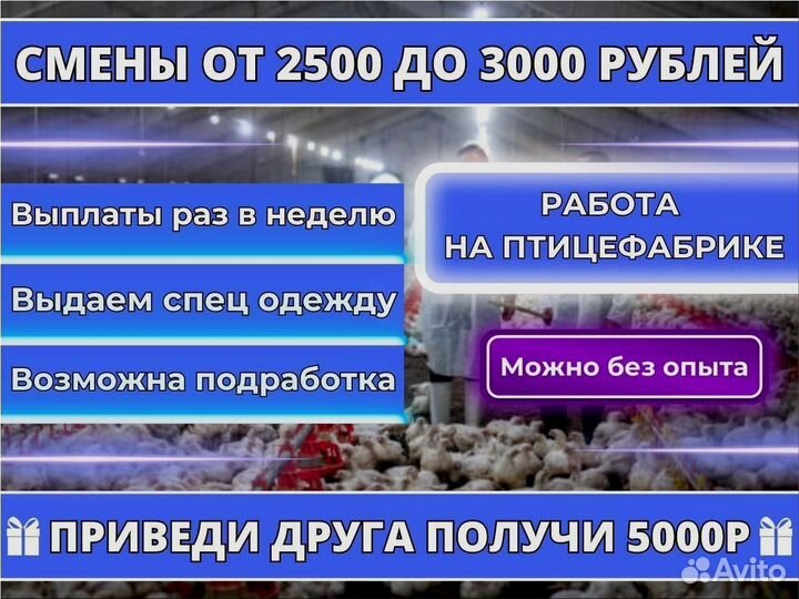 Разнорабочий на птицефабрику