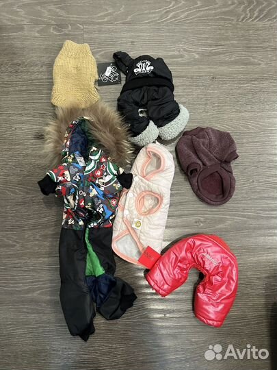 Одежда для маленьких собак xs