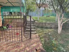 Участок 4,5 сот. (СНТ, ДНП)