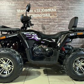 Квадроцикл Avantis Big Hunter 200 Premium (2024)