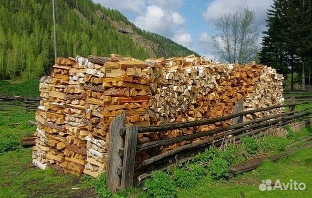 Дрова осина