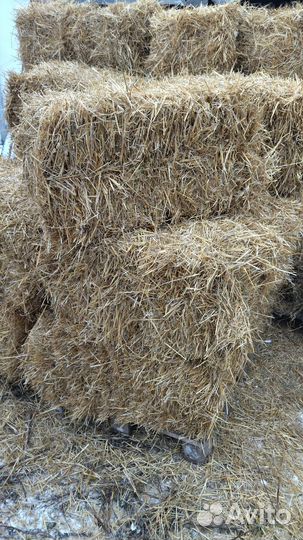 Сено в брикетах