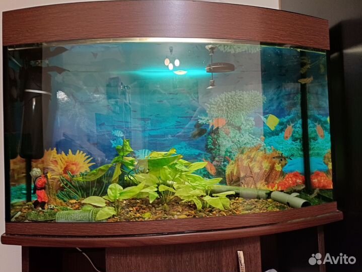 Аквариум с тумбой 100 литров