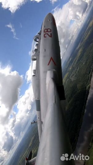 Полет на самолете. Самолет Л 29 Улётный подарок