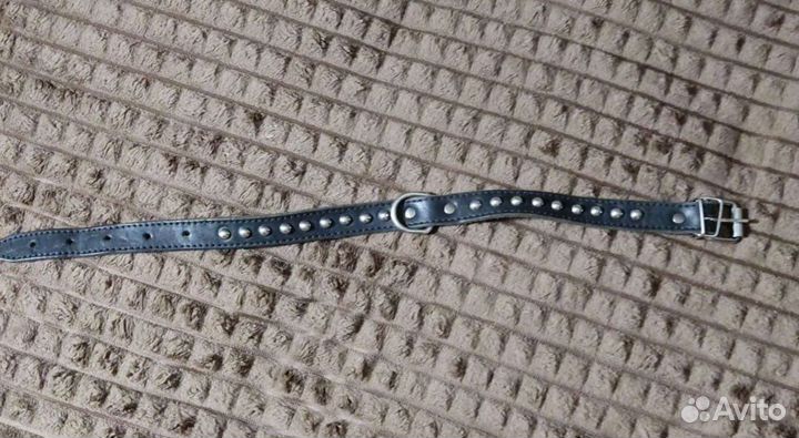 Шлейка и ошейник