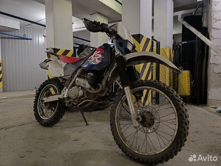 Honda xr250