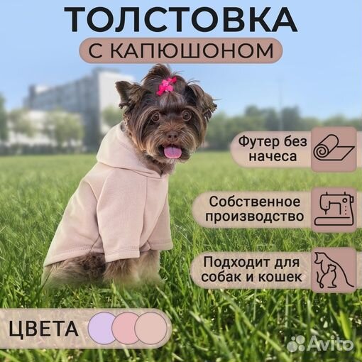 Одежда для собак (Худи - Толстовка)