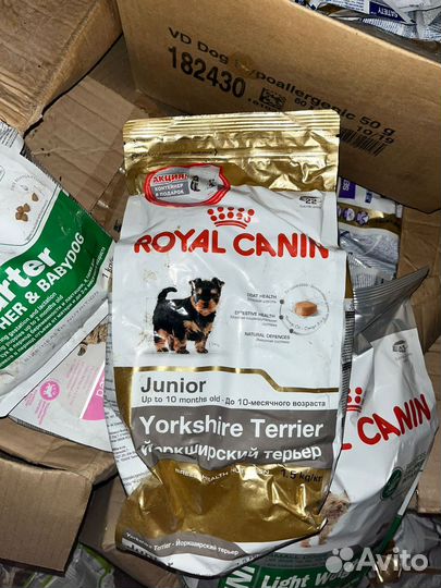 Корм для собак royal canin сухой