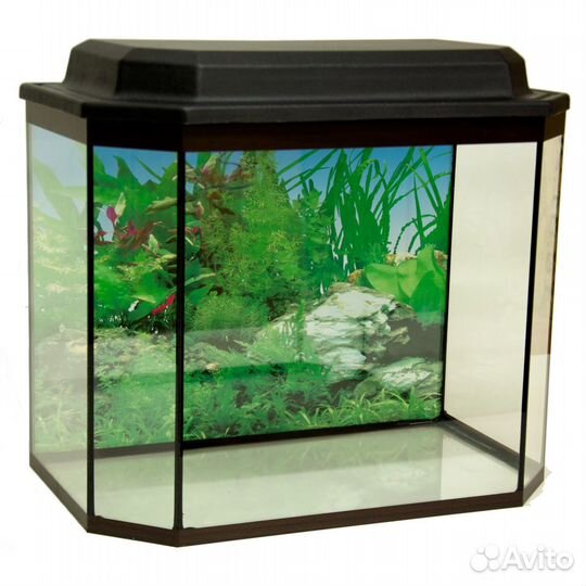 Аквариумы панорамные от 25 литров