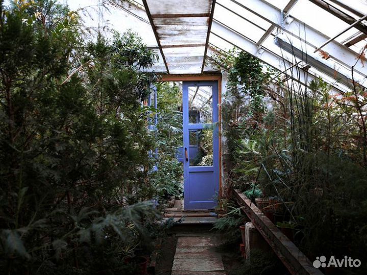 Экскурсия в Гербарий и Ботанический сад СПБГУ