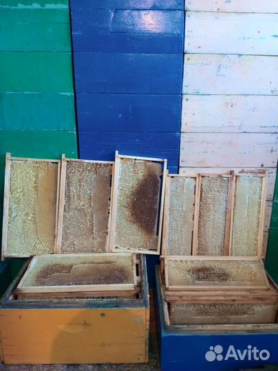 Рамки для пчел