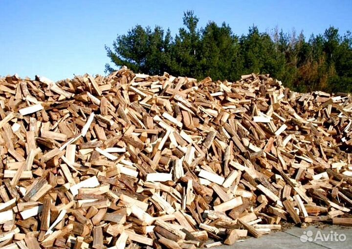 Дрова сухостой