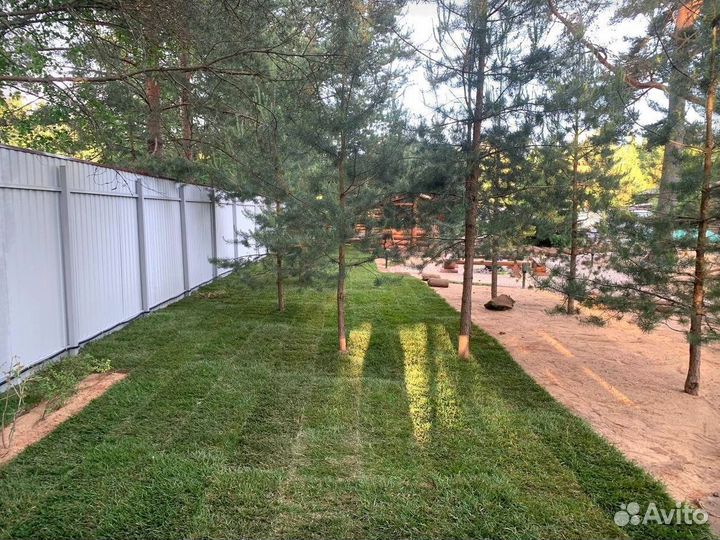 Газонc крепким дёрном