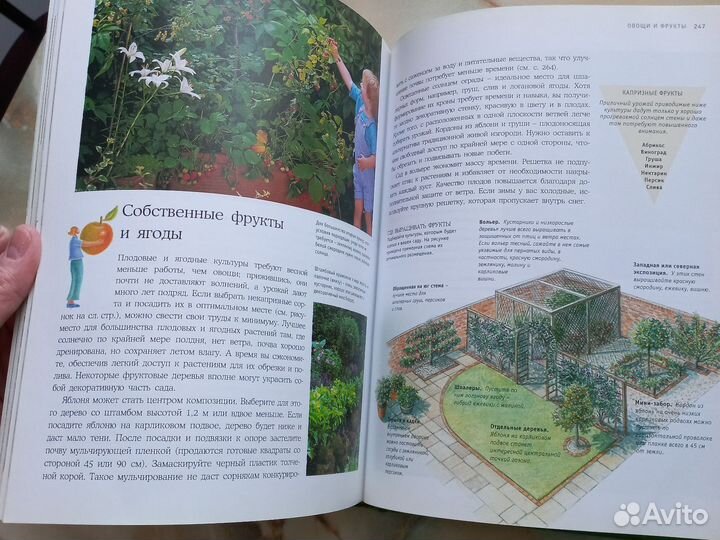 Книга дивный сад