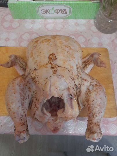 Мясо домашней птицы