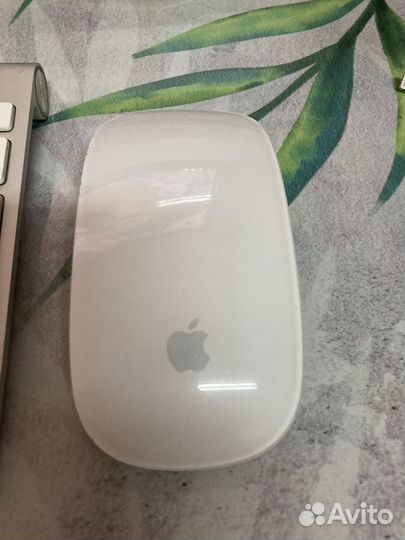 Apple magic keyboard 1 and apple magic mouse