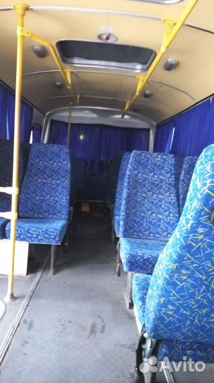 Городской автобус ПАЗ 32053, 2012