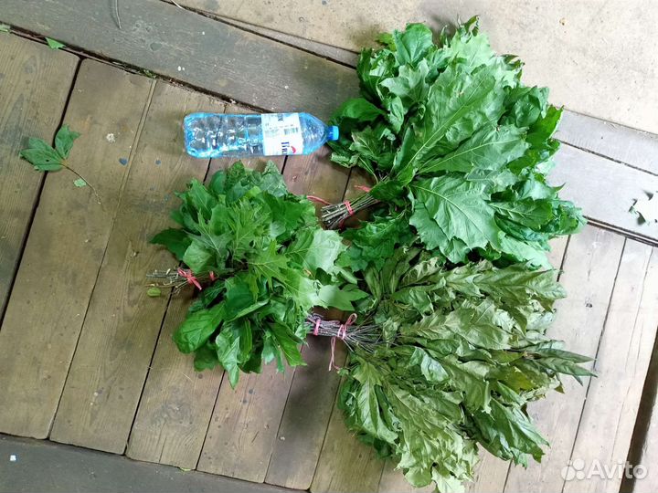 Веники для бани канадский дуб