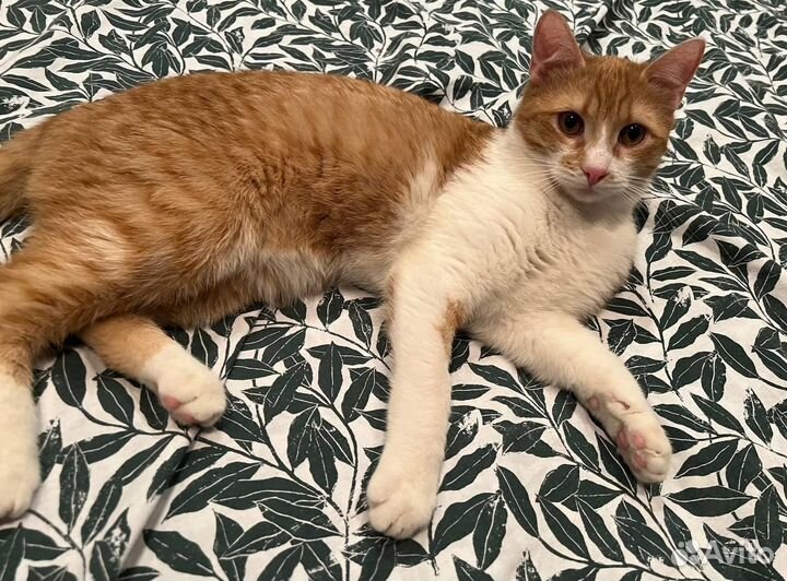 Солнечное счастье в ваш дом