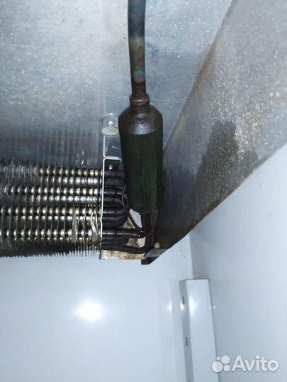 Ремонт холодильников и дргой кухонной техники