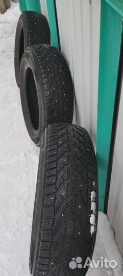Tigar Ice 185/65 R15