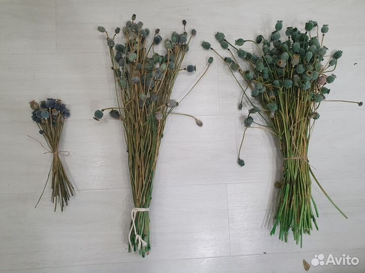 Мак стабилизированный