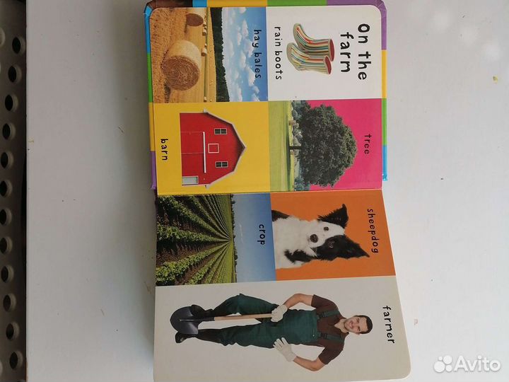 Первые слова на английском