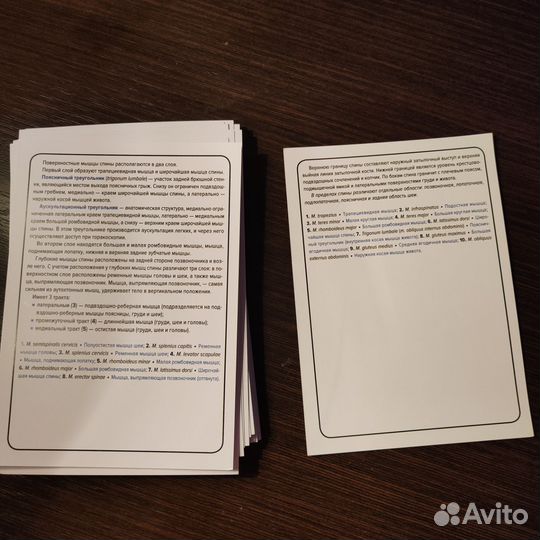 Карточки по анатомии, миология, Сапин