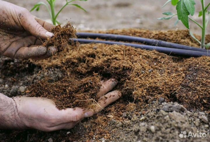 Торф в наличии