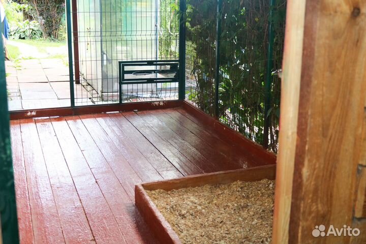 Частный дом -передержка