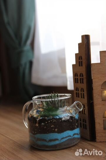 Флорариум, комнатные цветы