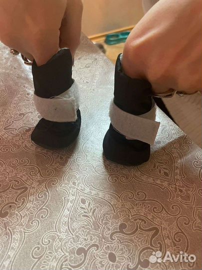 Ботинки для собак