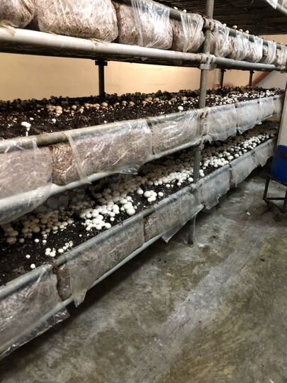 Производство, 10600 м²
