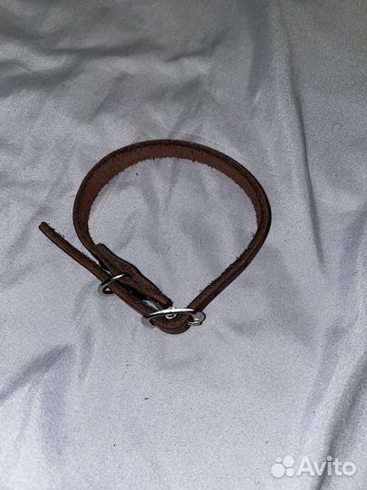 Шлейка, Ошейник, Намордник, Ботинки