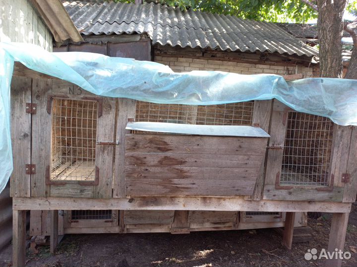 Клетки для разведения кроликов