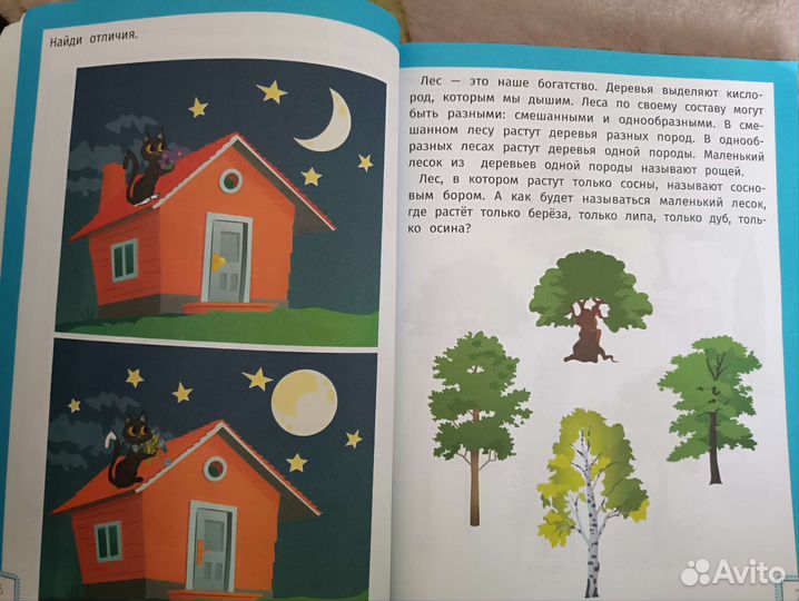 Книга Умный ребенок Заболотная Э. 5-6