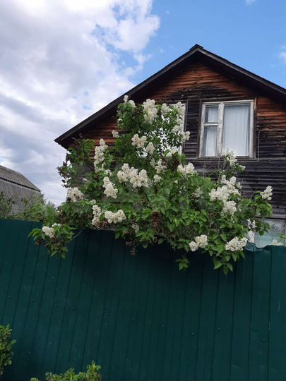 Дом 61,3 м² на участке 7,7 сот.