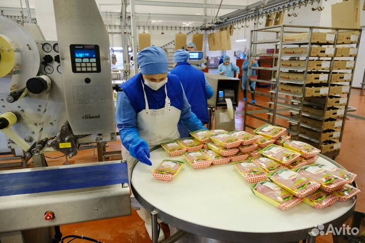 Приглашаем на работу на птицефабрику