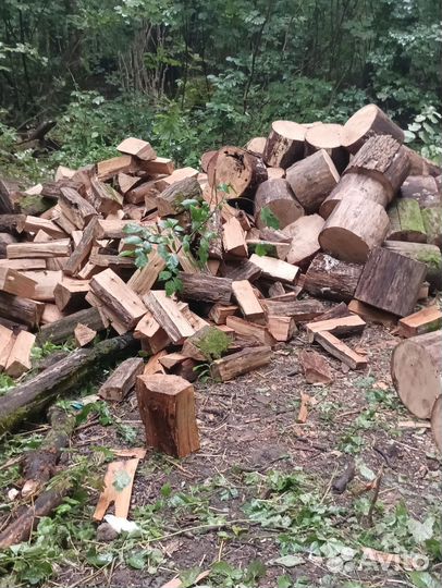 Дрова дубовые