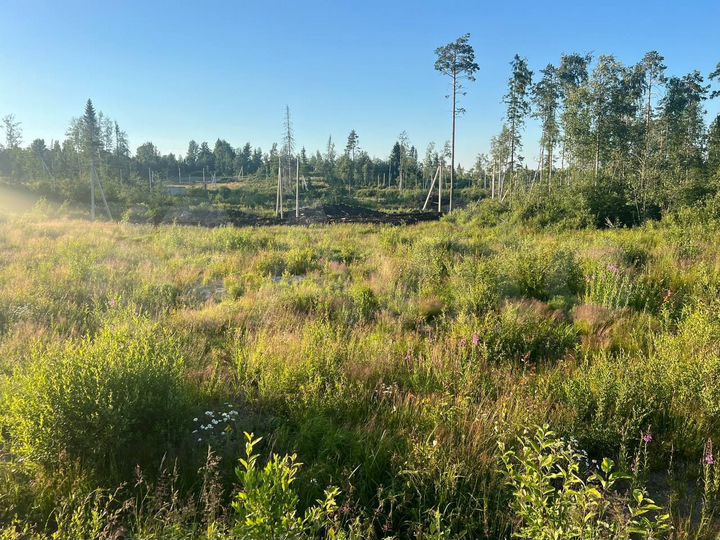 Участок 12 сот. (СНТ, ДНП)