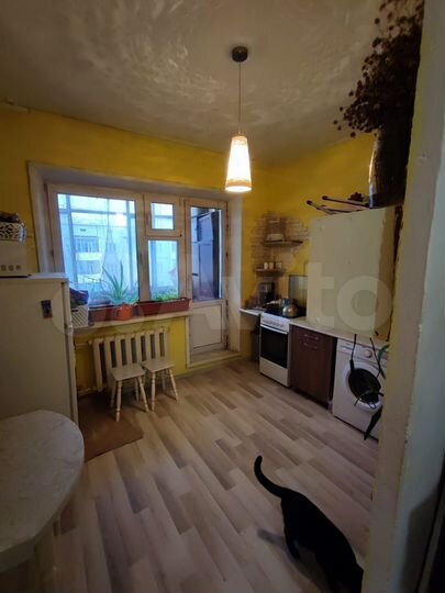 1-к. квартира, 36,3 м², 7/7 эт.