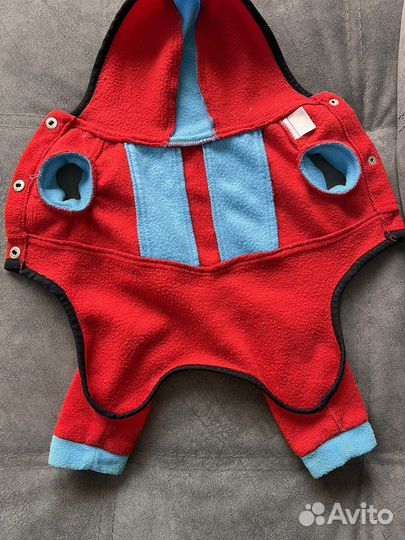 Одежда для маленьких собак