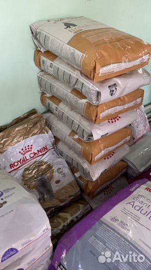 Корм для кошек 13 кг мейн кун, британец роял канин